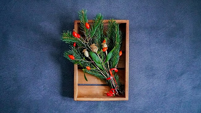 Как омела стала символом новогодних праздников в Европе?