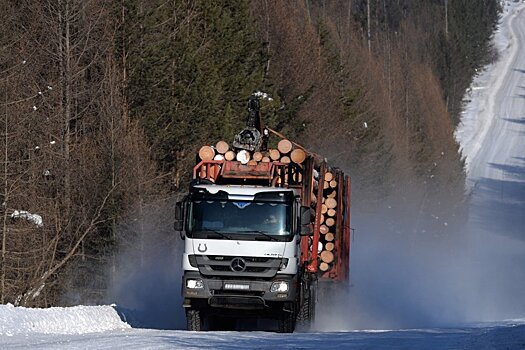 В ДФО оценили Стратегию развития лесного комплекса России