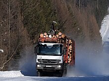 В ДФО оценили Стратегию развития лесного комплекса России