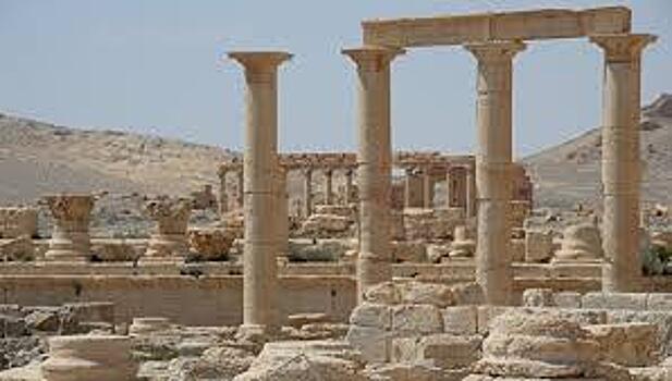 Съемки фильма "Пальмира" планируется начать в конце года
