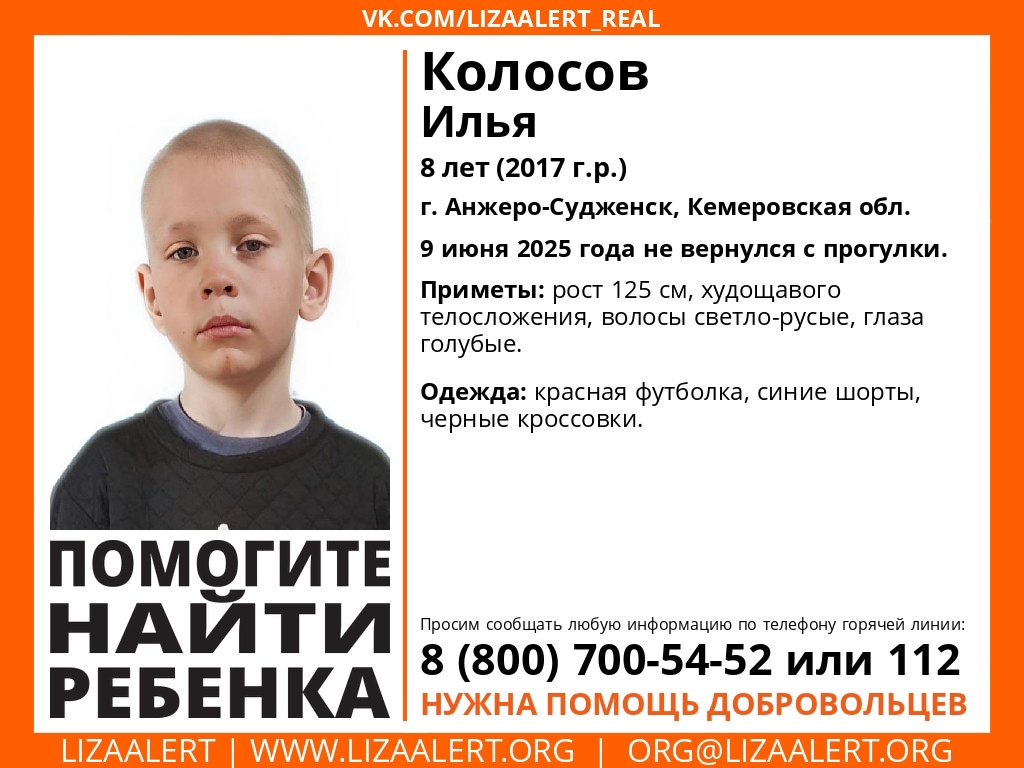 Свыше 100 человек вышли на поиски пропавшего в Кузбассе первоклассника