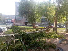 Без света, воды и газа оставил ураган жителей Бердска