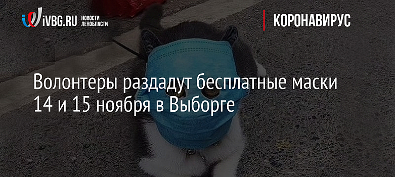 Волонтеры раздадут бесплатные маски 14 и 15 ноября в Выборге