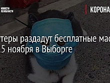 Волонтеры раздадут бесплатные маски 14 и 15 ноября в Выборге