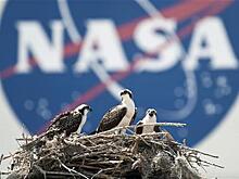 NASA создало непробиваемую шину