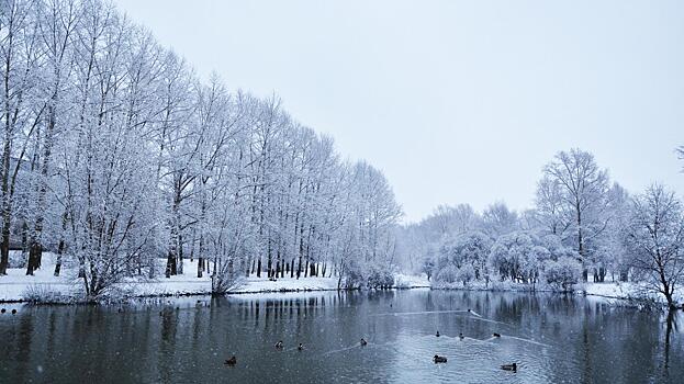 Погода в Вологде установила новый рекорд теплой зимы