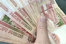 Почти 200 млн рублей субсидий получили предприниматели Карелии