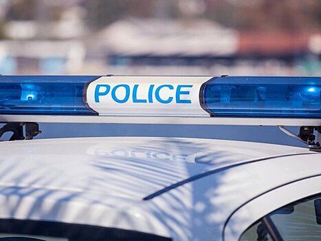 Newsweek: минимум 12 помилованных Трампом людей были снова арестованы полицией