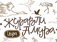 Комсомольский заповедник запустил игру про журавлей