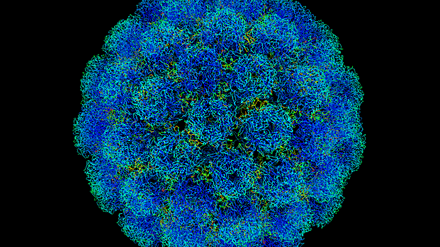 Вирусы классифицировали аналогично клеточным формам жизни