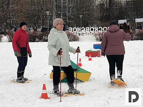 Хоккей по-русски и строительство иглу: чем займутся братеевские долголеты на первом крупном празднике этого года