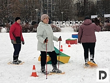 Хоккей по-русски и строительство иглу: чем займутся братеевские долголеты на первом крупном празднике этого года