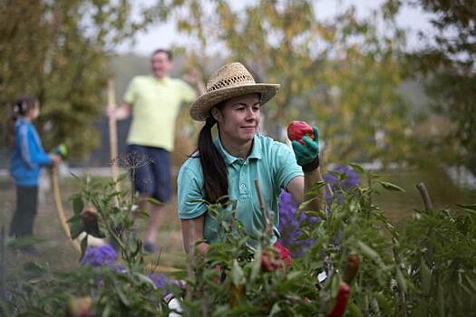 Как защитить сад и огород от клещей