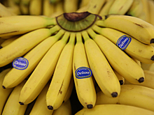 В ближайшее время в Россию прибывает делегация из Эквадора для решения проблемы поставки бананов