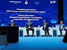 Замминистра Сорокин: Зеленый экстремизм спадает, спрос на нефть продолжит расти