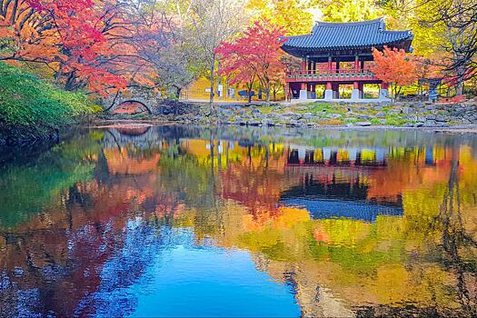 Экзотика традиций – выбираем необычные туры по Южной Корее