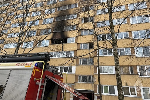 При пожаре в Петербурге спасли 20 жильцов, в том числе четверых малышей