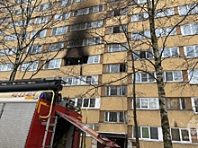 При пожаре в Петербурге спасли 20 жильцов, в том числе четверых малышей