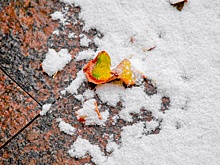 Зима еще не близко: москвичам рассказали о погоде на следующую неделю