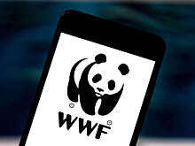 Минюст РФ признал WWF иноагентом за препятствие реализации промышленных проектов