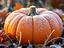 В последний день октября в Кировской области обещают небольшой снег и гололедицу