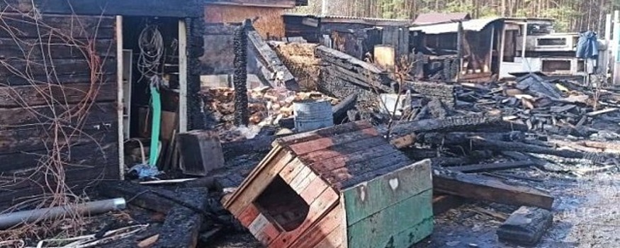 Под Саратовом дом многодетной семьи сгорел в результате пожара в соседской бане