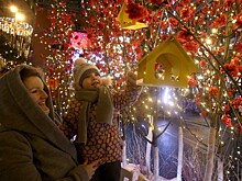 Названы самые популярные для празднования Нового года города России
