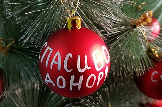 Почти 700 нижегородцев приняли участие в акции «С Новым годом, Служба крови!»