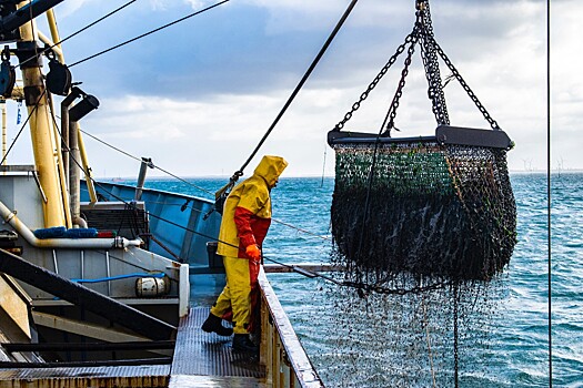 Портал Госуслуги предлагает шесть новых сервисов для рыбаков