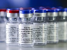 Science (США): несмотря на заявления пресс-релиза, российскую вакцину от Covid-19 одобряют не все