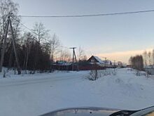 В селе Введенское землю вместе с деревьями продадут с аукциона