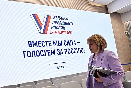 ЦИК РФ отреагировал на провокации на избирательных участках