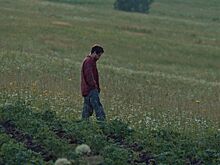 5 фильмов про сельское хозяйство и фермерство