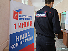 В Екатеринбурге провокация на голосовании по Конституции. В конфликт вмешалась омбудсмен