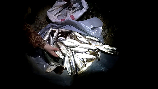 Транспортные полицейские пресекли незаконный лов рыбы в акватории Северной Двины