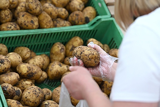 Минсельхоз не ожидает "ценовых перекосов" по картофелю