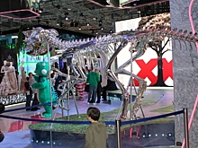 В России обнаружили ранее неизвестный вид динозавра с уникальной особенностью