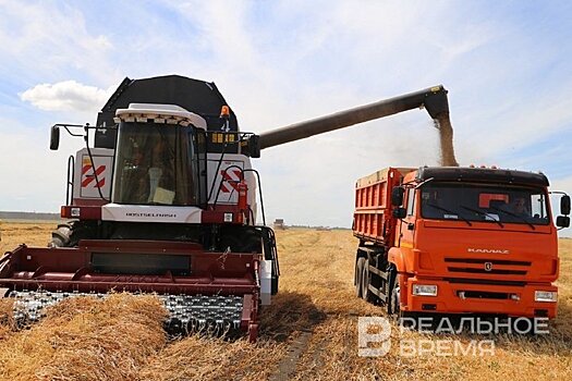 Минсельхоз: пошлина на экспорт российской пшеницы повысится с 26 ноября