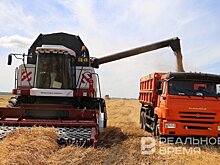 Нижнекамские аграрии обмолотили 83% площадей, урожайность составила 40 ц/га