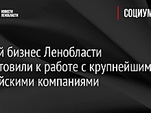 Малый бизнес Ленобласти подготовили к работе с крупнейшими российскими компаниями