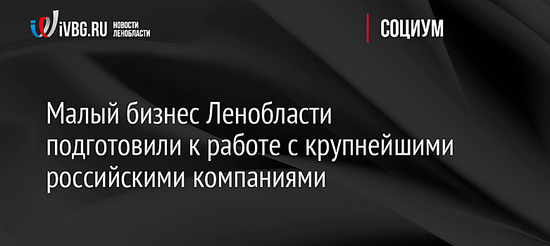 Малый бизнес Ленобласти подготовили к работе с крупнейшими российскими компаниями