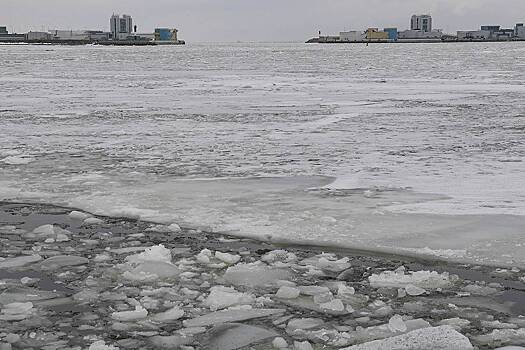 В Финском заливе столкнулись два судна