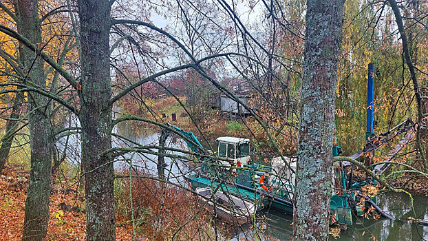 Благодаря экологическим проектам главная река Тамбовской области станет чище