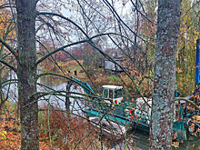 Благодаря экологическим проектам главная река Тамбовской области станет чище