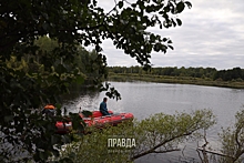 Пенсионер утонул в реке Теплая в Балахне