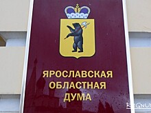 Лишить мандата ярославского депутата Тамарова мешает «правовая коллизия»