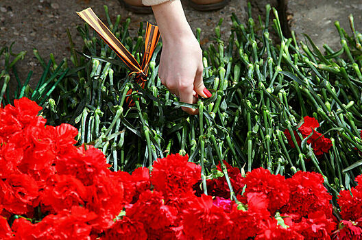 В России предложили запустить мемориальную программу