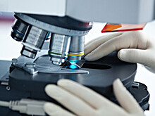 Эпидемиологи из 19 стран прибыли на учения в Астраханскую область