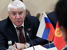 Чепа: Украина всячески саботирует продолжение переговоров