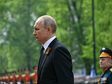 Владимир Путин поддержал идею высадить 27 миллионов деревьев в память о павших воинах